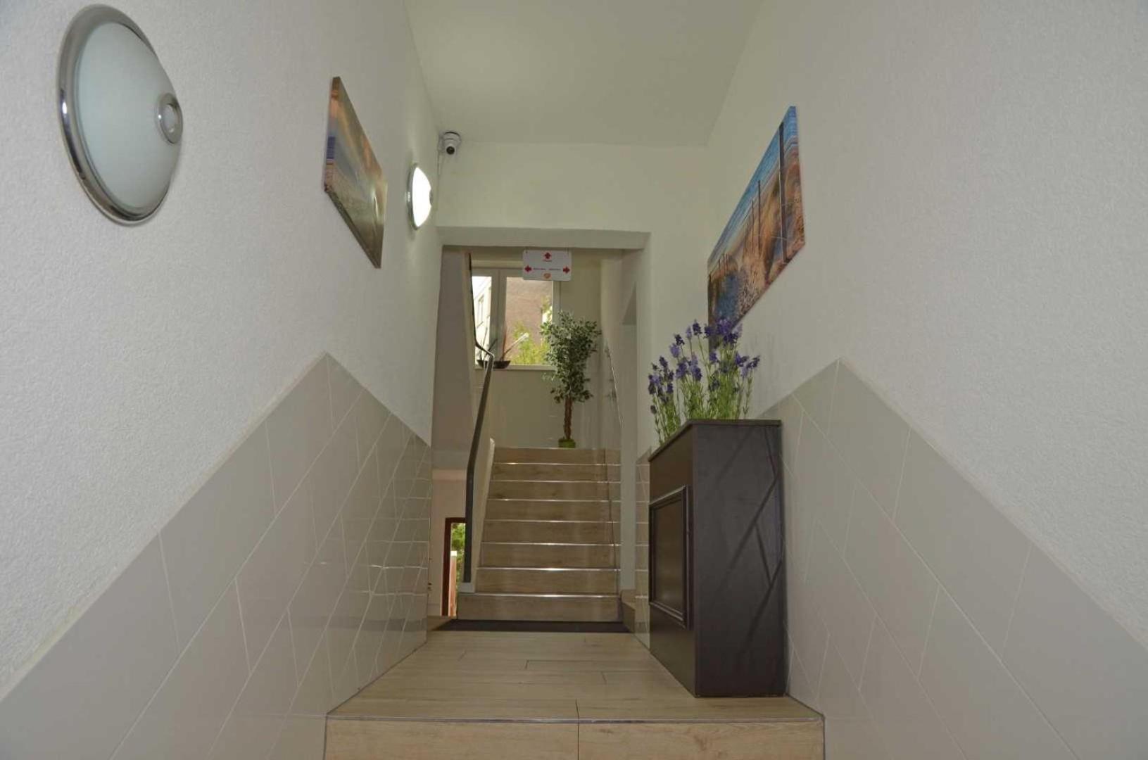 קושהאבן Hotel Zur Seerobbe מראה חיצוני תמונה